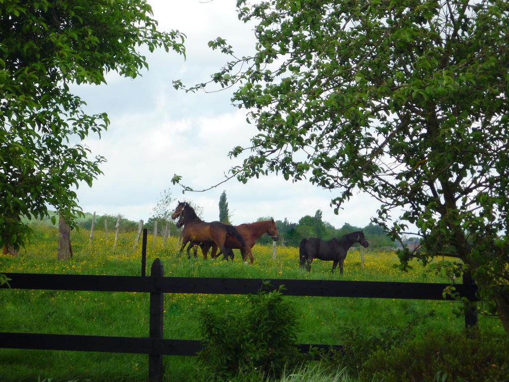 Au Mesnil Le Bas Bray Bed and Breakfast Bures-en-Bray Buitenkant foto