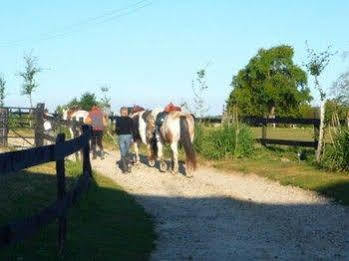 Au Mesnil Le Bas Bray Bed and Breakfast Bures-en-Bray Buitenkant foto